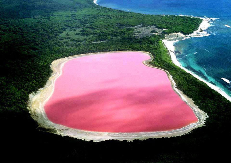pink lake africa