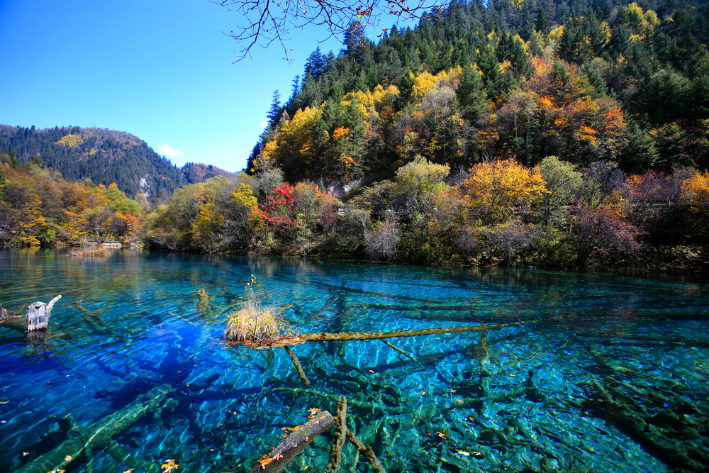 Top 10 Clearest Waters