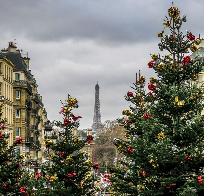 Paris in Winter-Photo by David L Brown