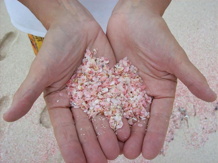 Pink Sand
