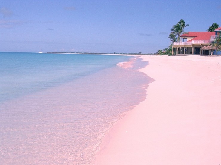 Pink Sand6
