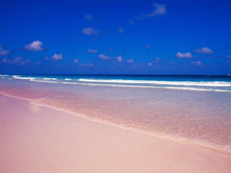 Pink Sand9