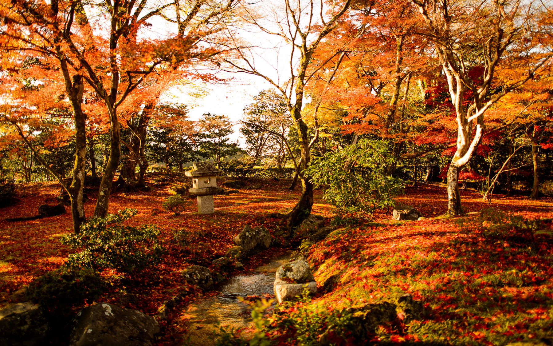 Top 10 Wonderful Japanese Gardens - Places To See In Your Lifetime