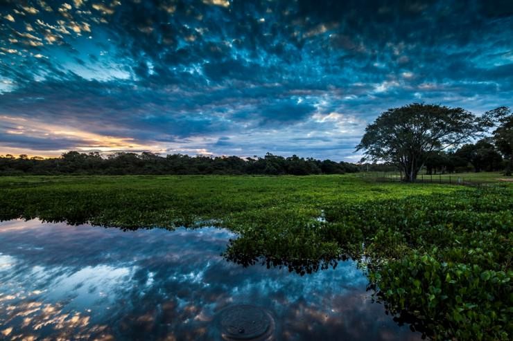 Pantanal-Photo by Eduardo Uip