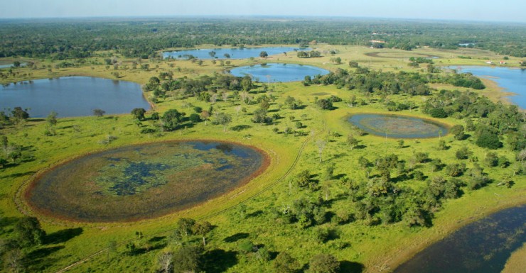 Pantanal2