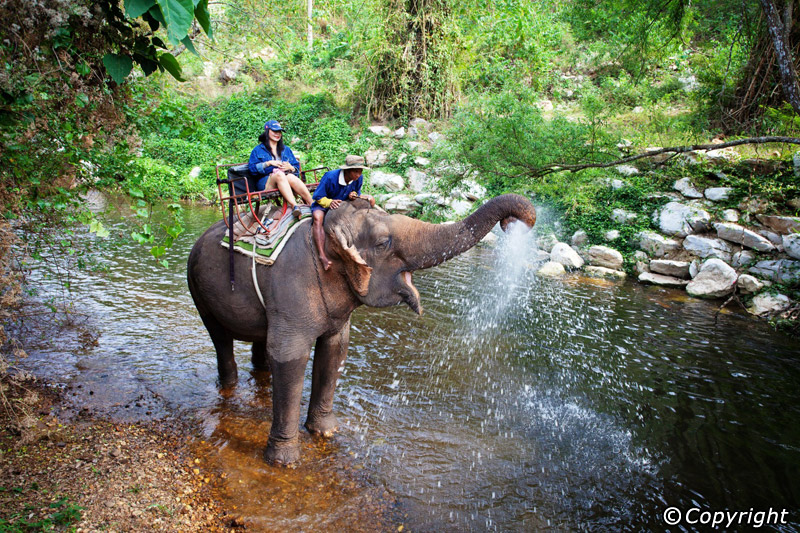 Top 10 Places to Visit in Thailand This Summer - Places To See In Your ...