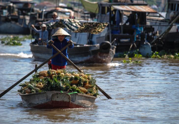 Mekong Delta floating markets