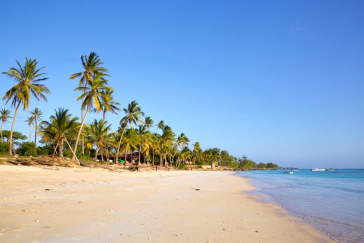 Sand beach with palm trees, Kizimkazi, Zanzibar, Tanzania