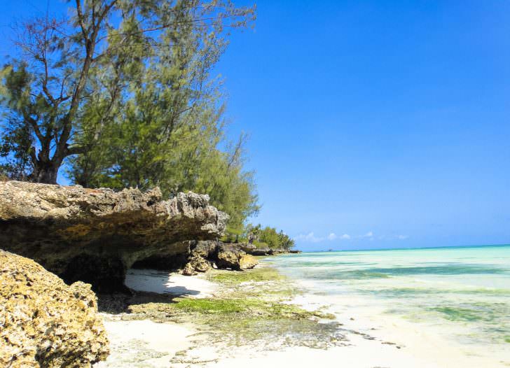 Wild paradise beach near Kizimkazi village in Zanzibar.