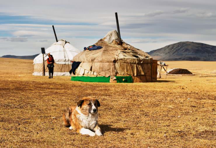 Ger, Mongolia © Shutterstock, Inc.