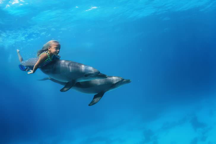 A little girl swimming with pair of dolphins underwater