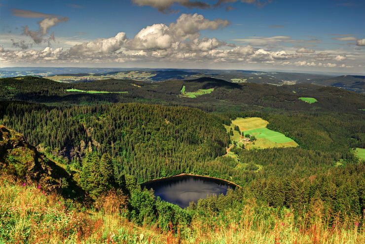 The Black Forest National Park, Germany