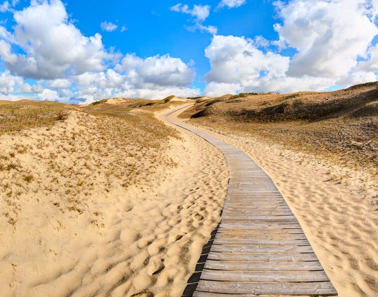 Wooden path into the Dunes. Curonian Spit National Park, Lithuania
