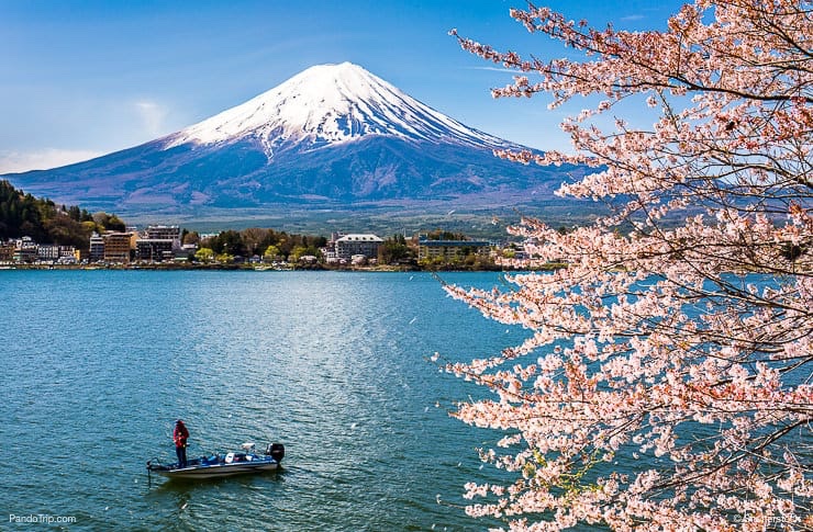 Mount Fuji in Japan spring season