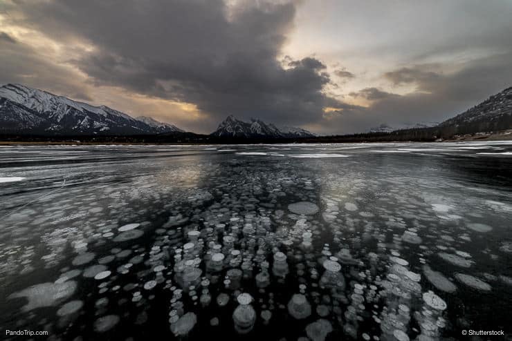 Abraham Lake with Ice bubbles