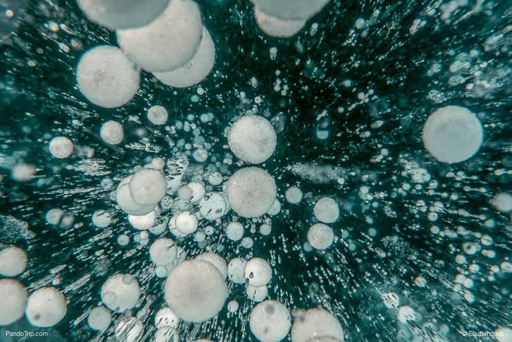 Bubbles of methane gas trapped in a surface of ice on Abraham Lake in Canada