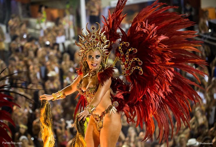 Amazing dancer at the Carnival in Rio de Janeiro, Brasil
