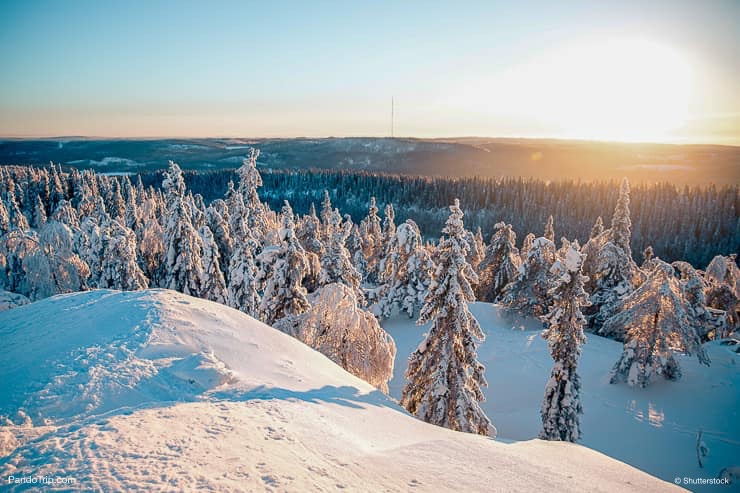 Koli National Park in Finland during winter