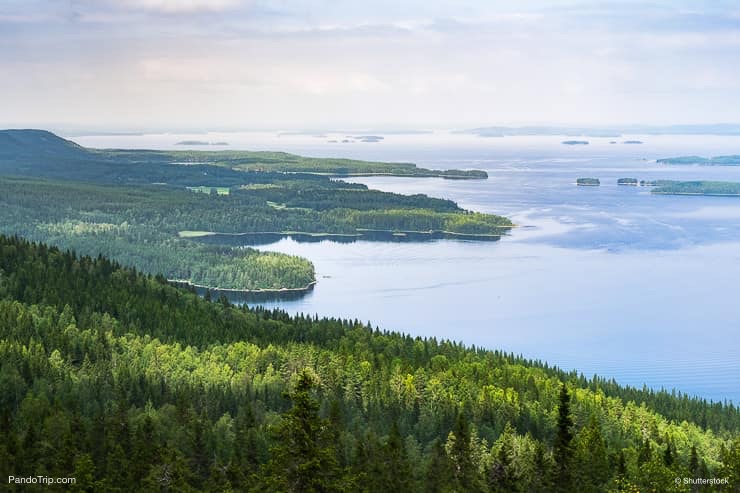 Scenic Landscape of Koli National Park, Finland