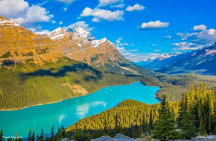 Turquoise Lake Peyto in Banff National Park, Canada