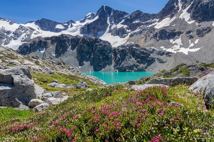 Turquoise Wedgemount Lake and wild alpine flowers, Whistler, BC