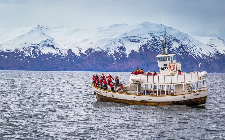 Tour boat in a whale-watching tour in Husavik, Iceland