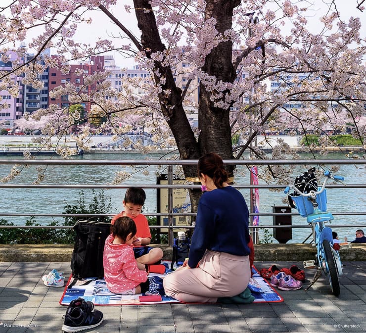 People having a picnic at Sumida Park