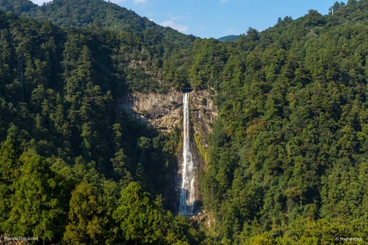 Nachi Waterfall the tallest single drop fall in Japan
