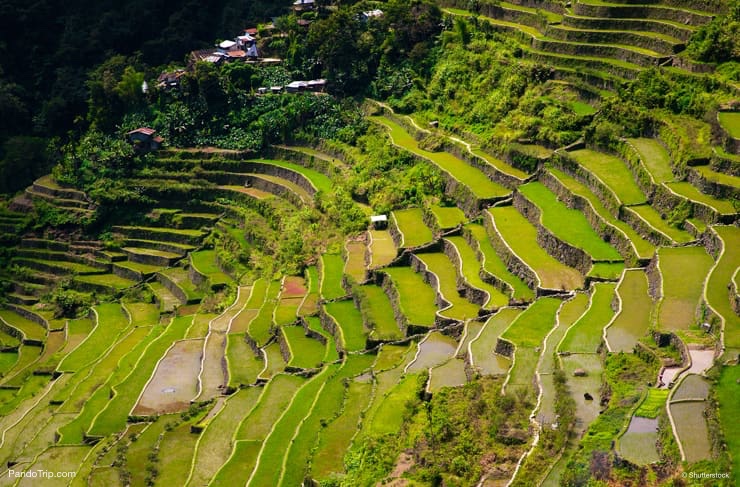 Famous Banaue Rice Terraces in Philippines