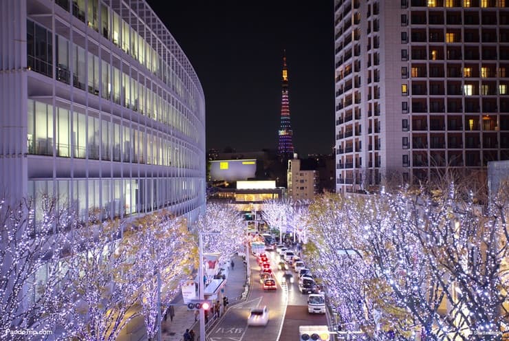Keyakizaka Street illumination, Roppongi Hills Christmas, Tokyo, Japan
