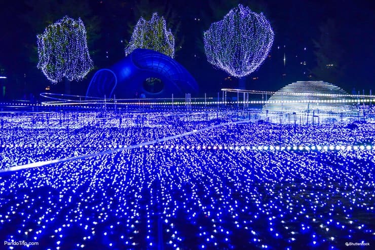 Starlight Garden is the biggest highlight of Tokyo Midtown Christmas Illumination in Japan