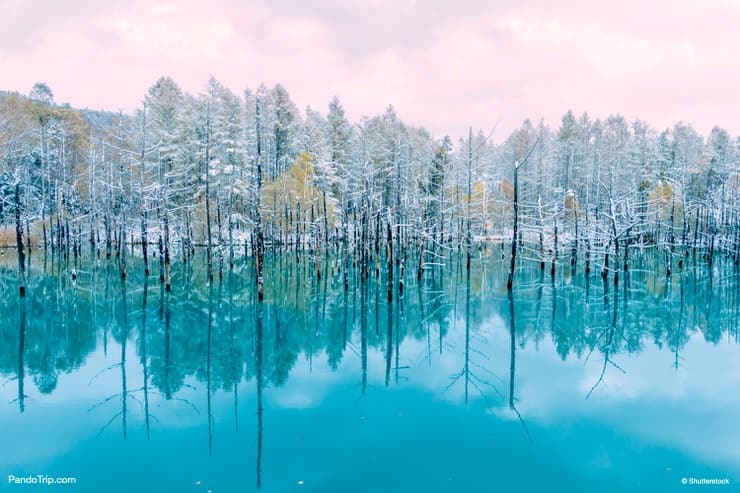 The Blue Pond in winter. Biei, Hokkaido, Japan