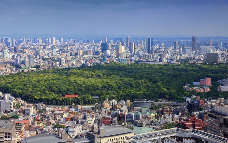Aerial view of Yoyogi Park in Tokyo