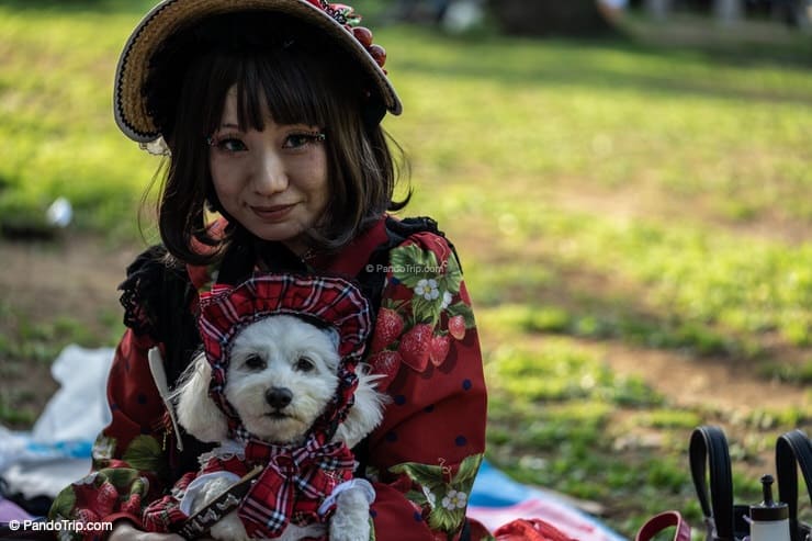 Girl with a dog in Yoyogi Park, Tokyo