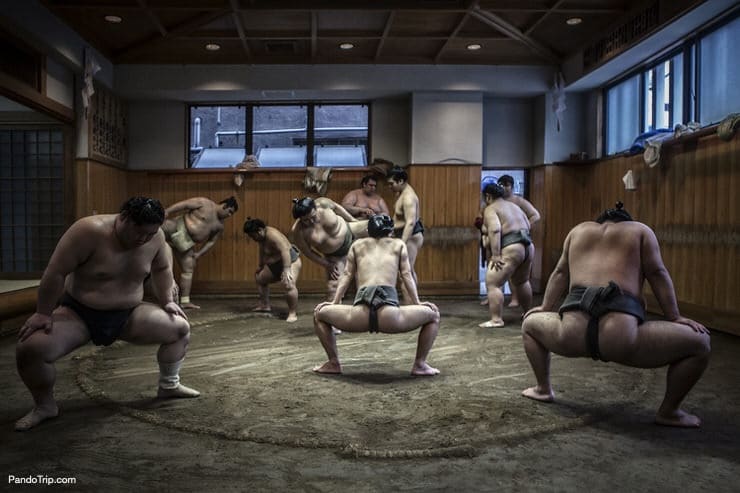 Stretching session before a training in local sumo stable