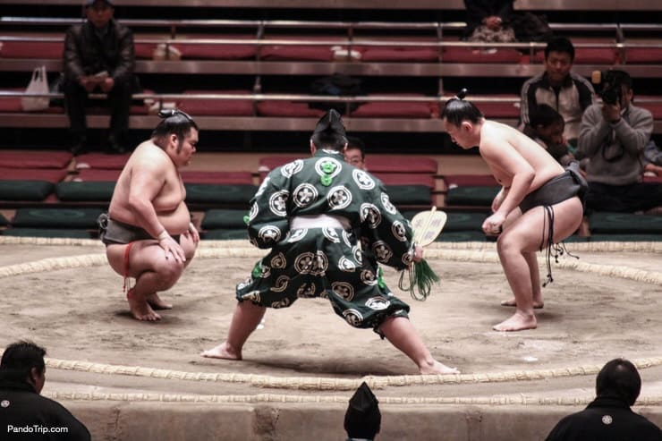 Sumo wrestlers in the Tokyo Grand Sumo Tournament