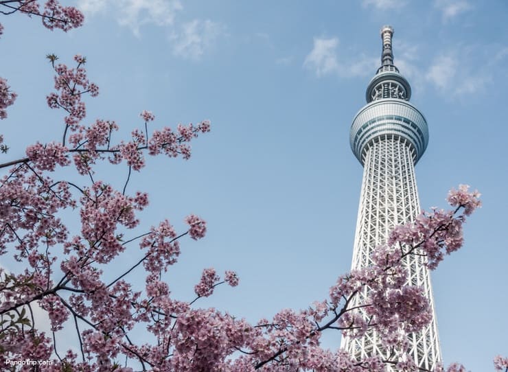 Tokyo Skytree is one of the most famous landmarks in Tokyo