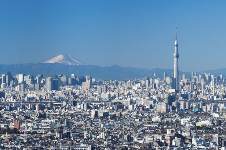 View of Mount Fuji and Tokyo Skytree from the Tokyo Metropolitan Government building