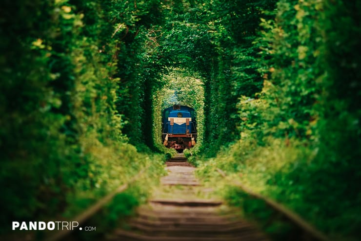 Train Tunnel of Love, Ukraine