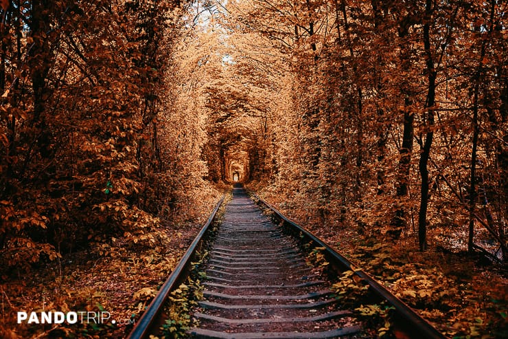 Tunnel of Love in Autumn