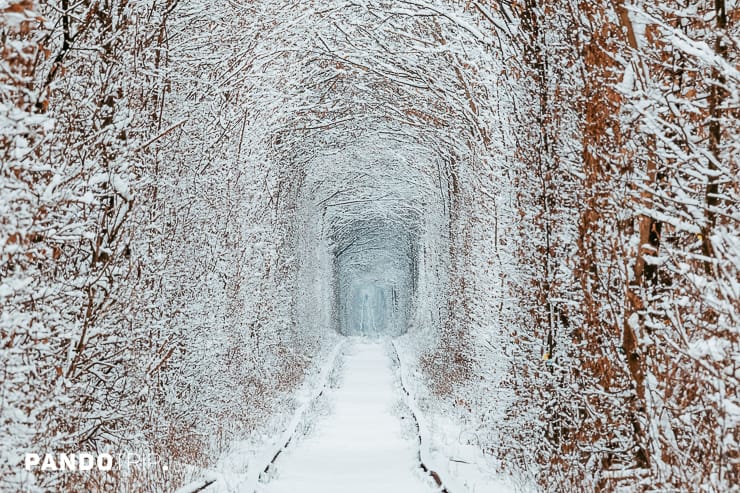 Tunnel of Love in winter
