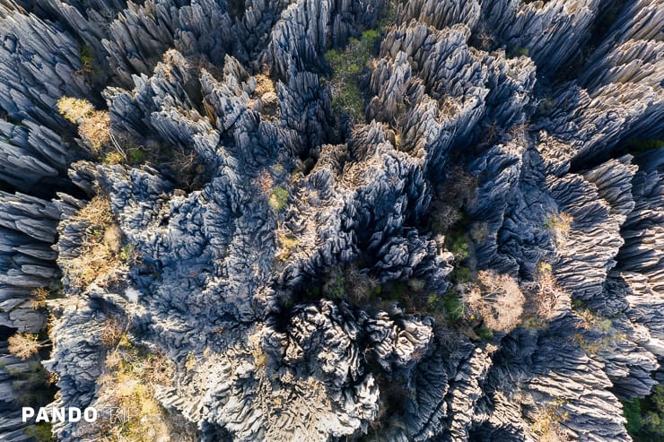 Aerial view to big Tsingy de Bemaraha national park in Madagascar