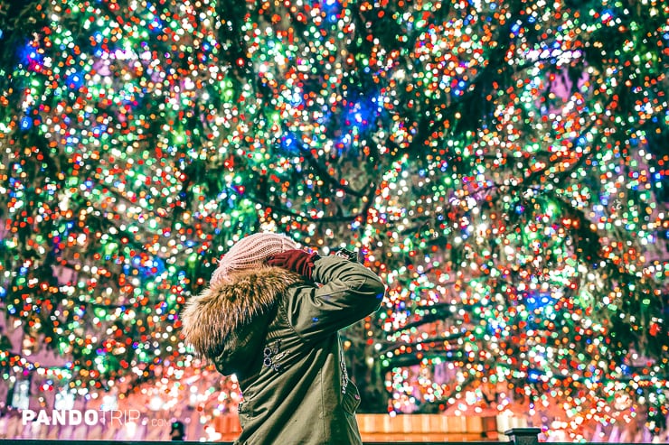 Close view of Rockefeller Center Christmas Tree, NY