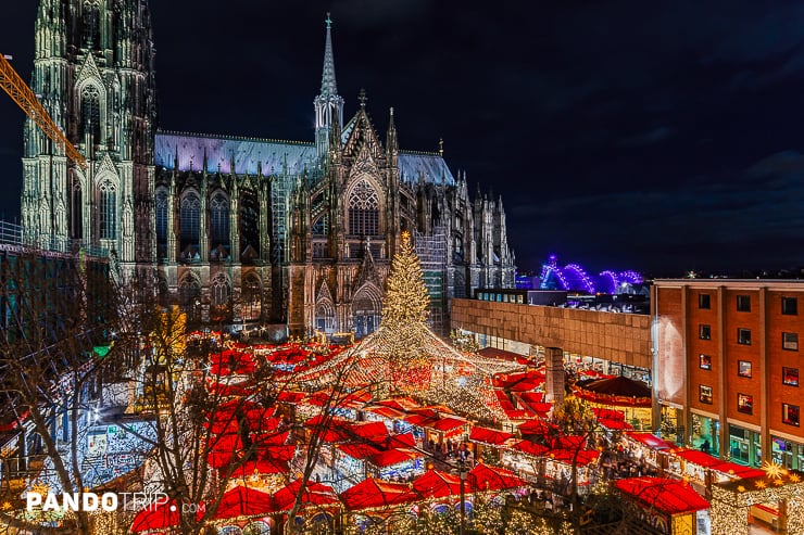 Cologne Cathedral Christmas Tree
