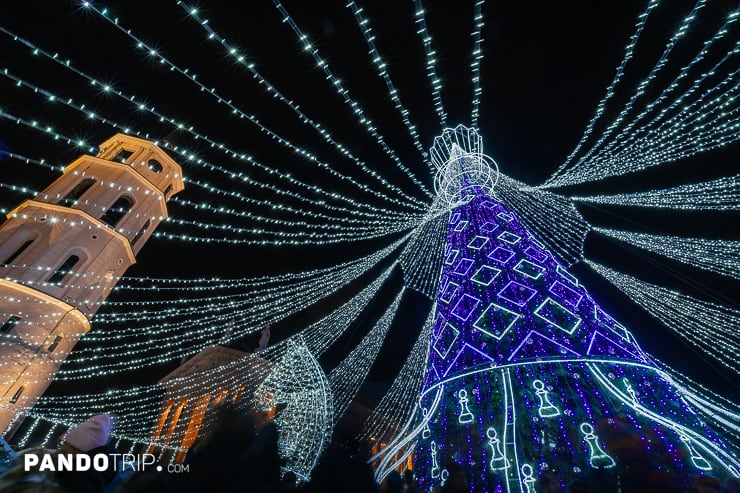 Vilnius Christmas Tree 2019