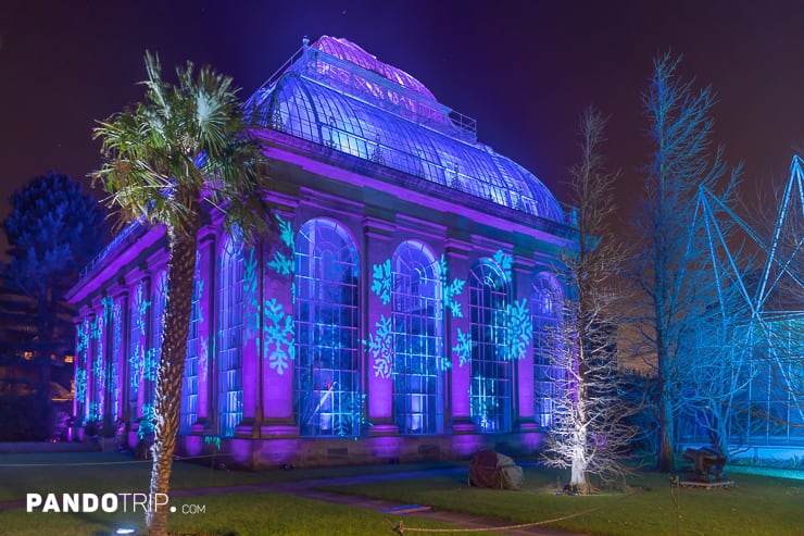Illuminated Glasshouses in Royal Botanic Garden during Christmas in The Botanics event
