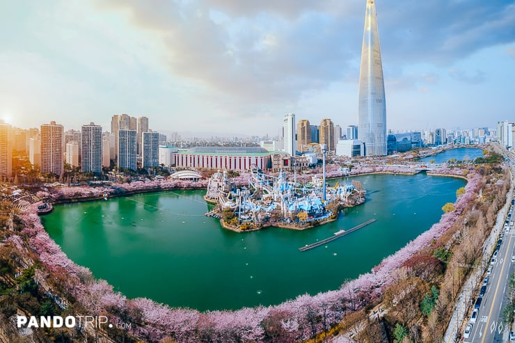 Seokchon Lake and Cherry Blossoms in Seoul