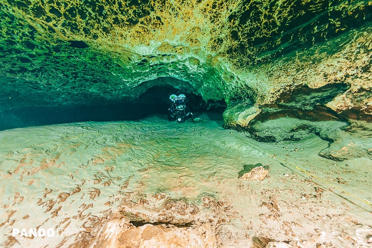 Cave diving, Ginnie Springs, Florida