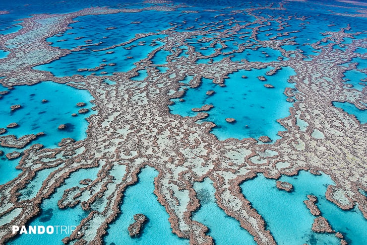 Closer look at Great Barrier Reef in Australia