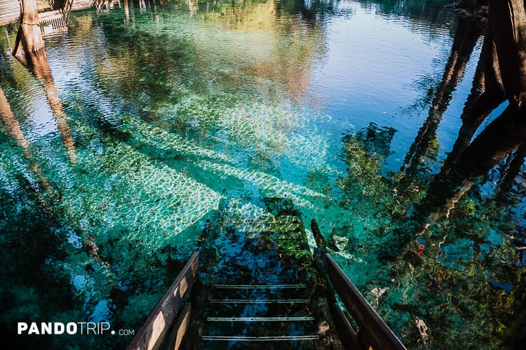 Crystal clear water of Ginnie Springs, Florida